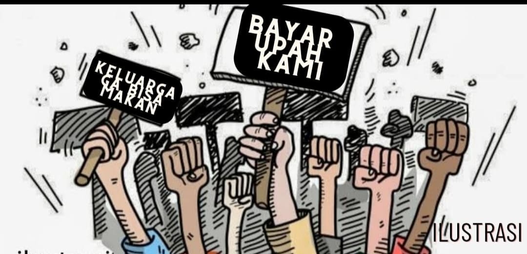 Gaji 7 Bulan Tidak Dibayar, P3K Halmahera Timur Ancam Mogok Kerja