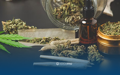 Polres Ternate Tangkap Dua Pemuda usai Pesan Ganja