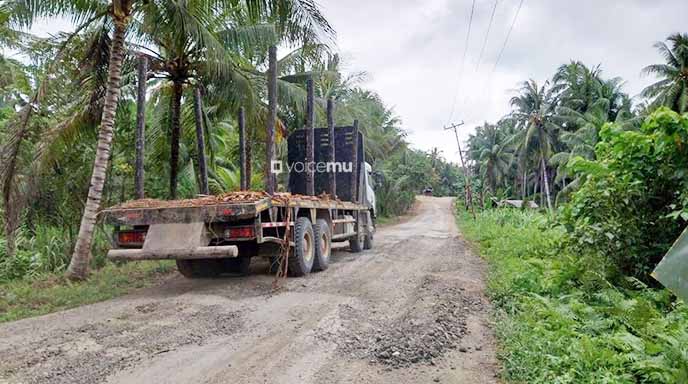 Truk Logging PT Kirana Cakrawala Bikin Jalan Miaf-Sosolat Rusak Parah