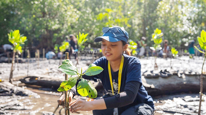 Mahasiswa KKN UGM dan Harita Nickel Tanam 380 Mangrove di Soligi 4 Mahasiswa KKN UGM dan Harita Nickel Tanam 380 Mangrove di Soligi