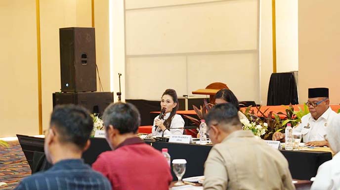 Gubernur Sherly Paparkan Komitmen Bangun Malut ke Komisi V DPR RI