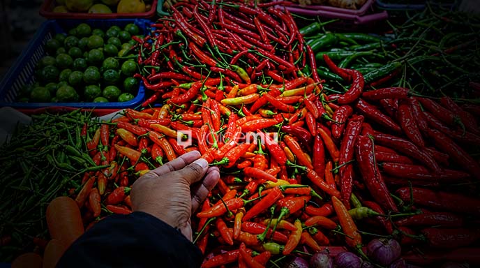 Harga Cabai Rawit di Halmahera Timur Turun Tipis